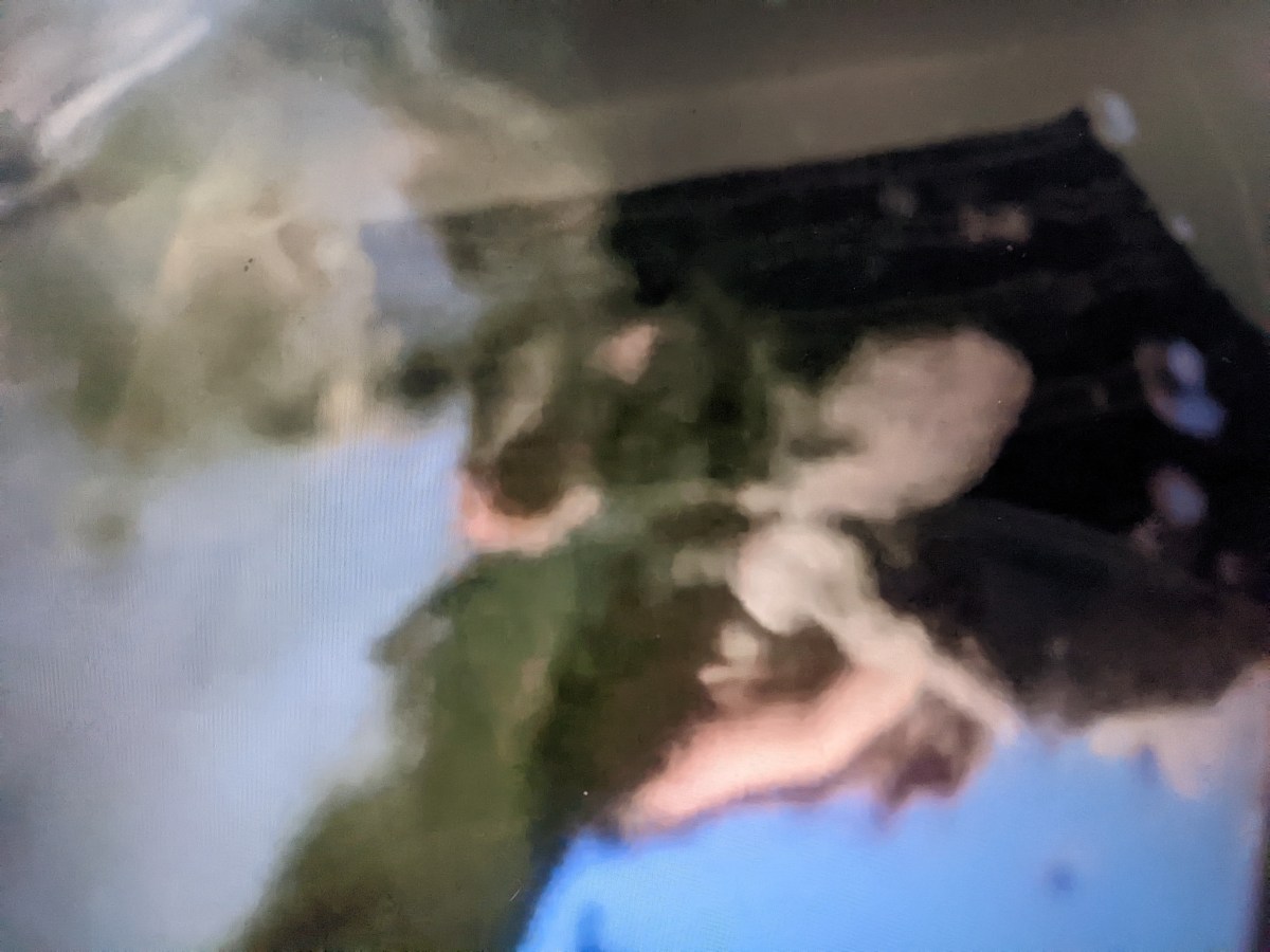 The Enigma of Kaspar&nbsp;Hauser