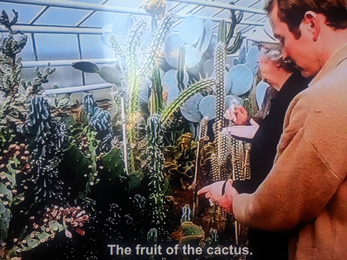 Land of Silence and&nbsp;Darkness